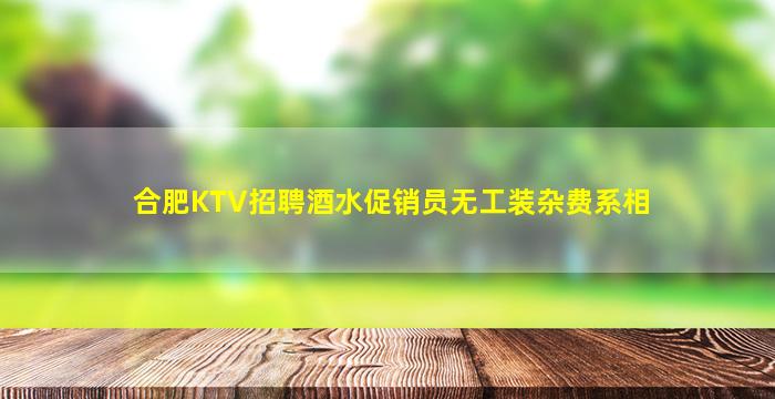 合肥KTV招聘酒水促销员无工装杂费系相